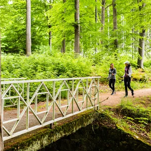 Historické a přírodní památky v okolí Mariánských Lázní