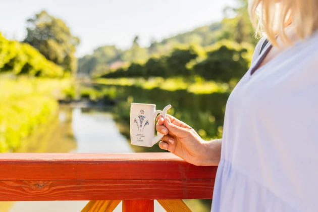 Jak do lázní přes zdravotní pojišťovnu